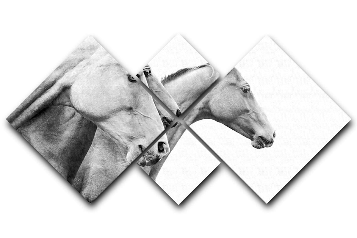 A beautiful 4-square canvas artwork featuring purebred horses, showcasing their elegance and grace in a striking multi-panel design.