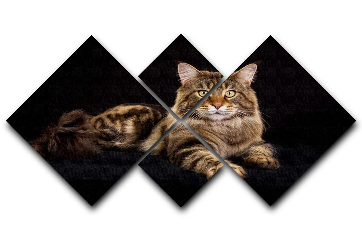 A beautiful 4-square multi panel canvas featuring a Purebred Maine Coon cat, showcasing its majestic features and vibrant colors.