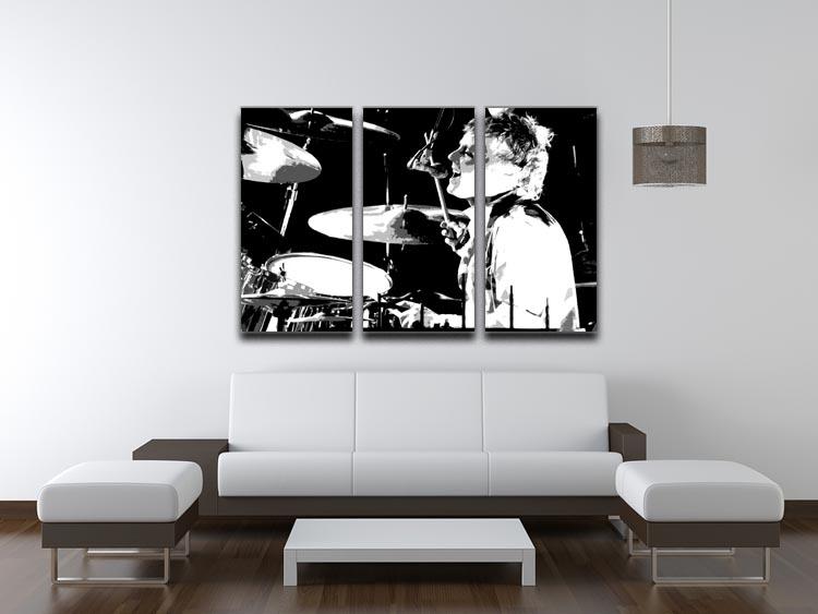 Three-panel canvas print featuring pop art of Queen drummer Roger Taylor, showcasing vibrant colors and dynamic design.