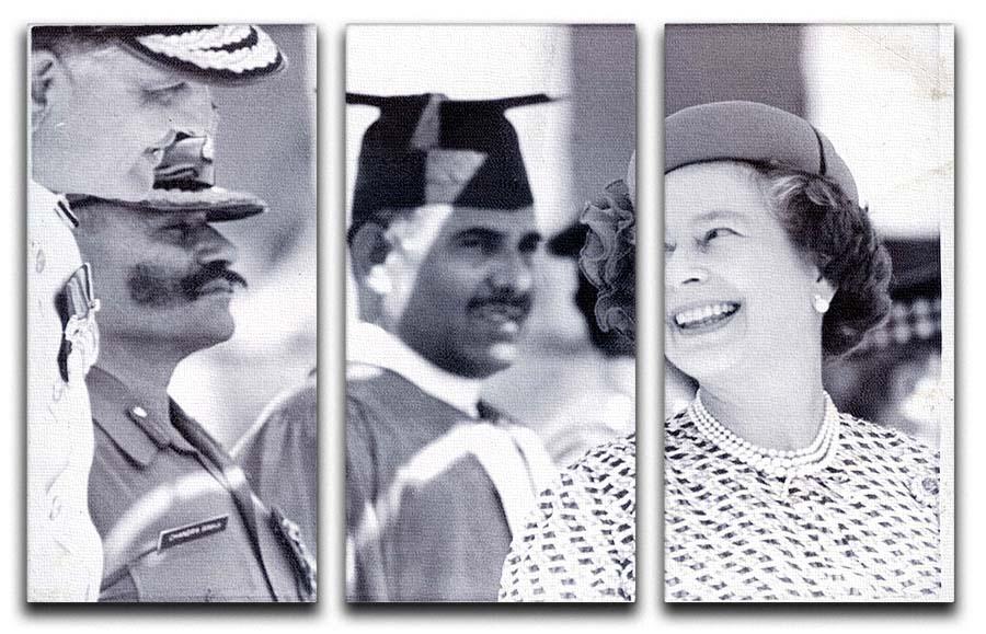 Three-panel canvas art featuring Queen Elizabeth II laughing during her tour of India, showcasing vibrant colors and intricate details.