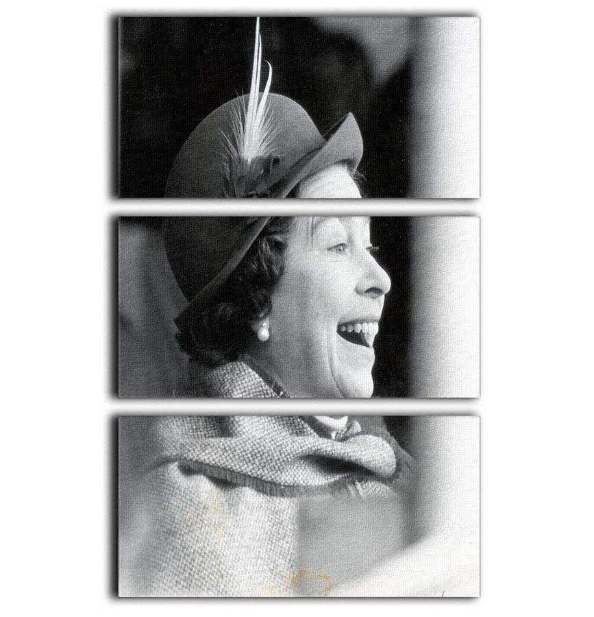 Three-panel canvas art featuring Queen Elizabeth II at the Badminton Horse Trials, showcasing her pleased expression.