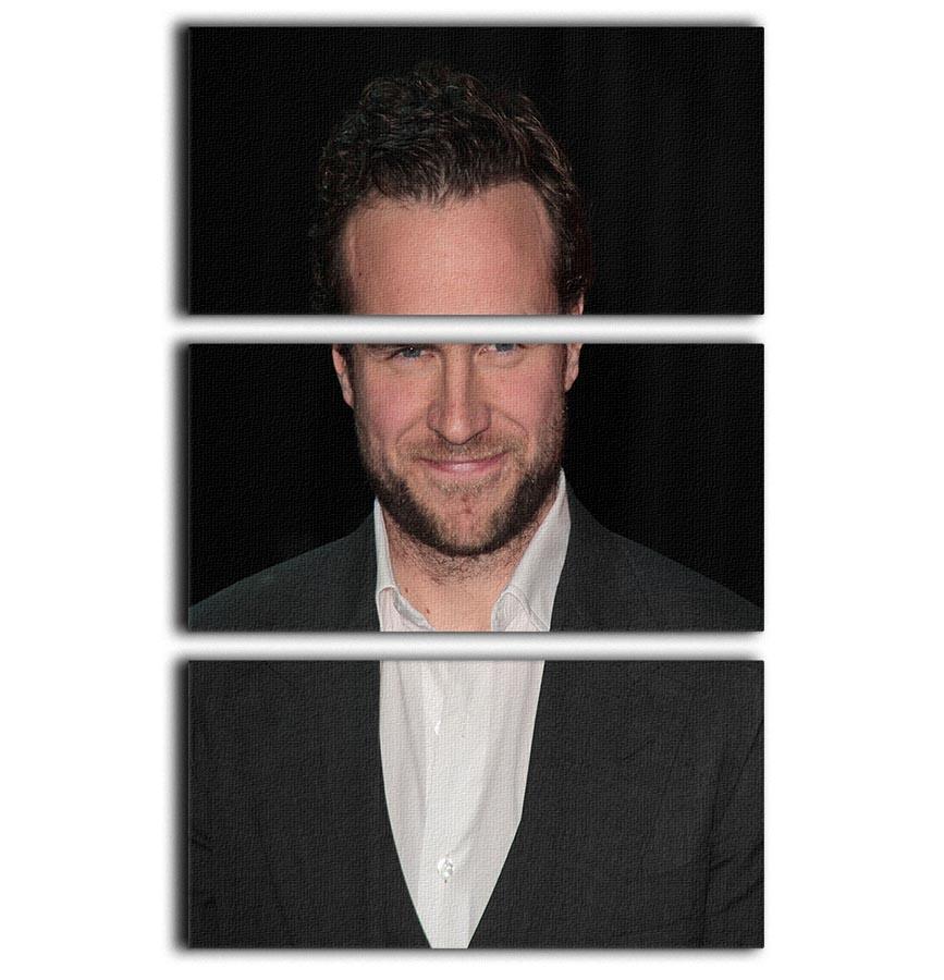 Rafe Spall 3 Split Panel Canvas Print showcasing a captivating design with three high-quality canvases.