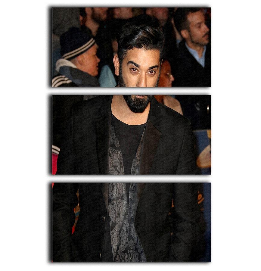 Ray Panthaki 3 Split Panel Canvas Print showcasing three high-quality canvases with a cohesive design, perfect for home decor.