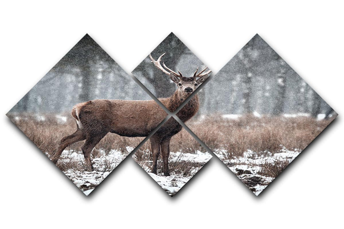 A beautiful 4-square canvas artwork featuring a Red Deer Stag in a snowy Scottish landscape, showcasing nature's elegance.