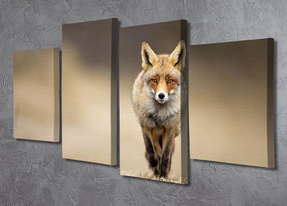 A stunning 4-split canvas artwork featuring a red fox, showcasing its beauty across four panels.