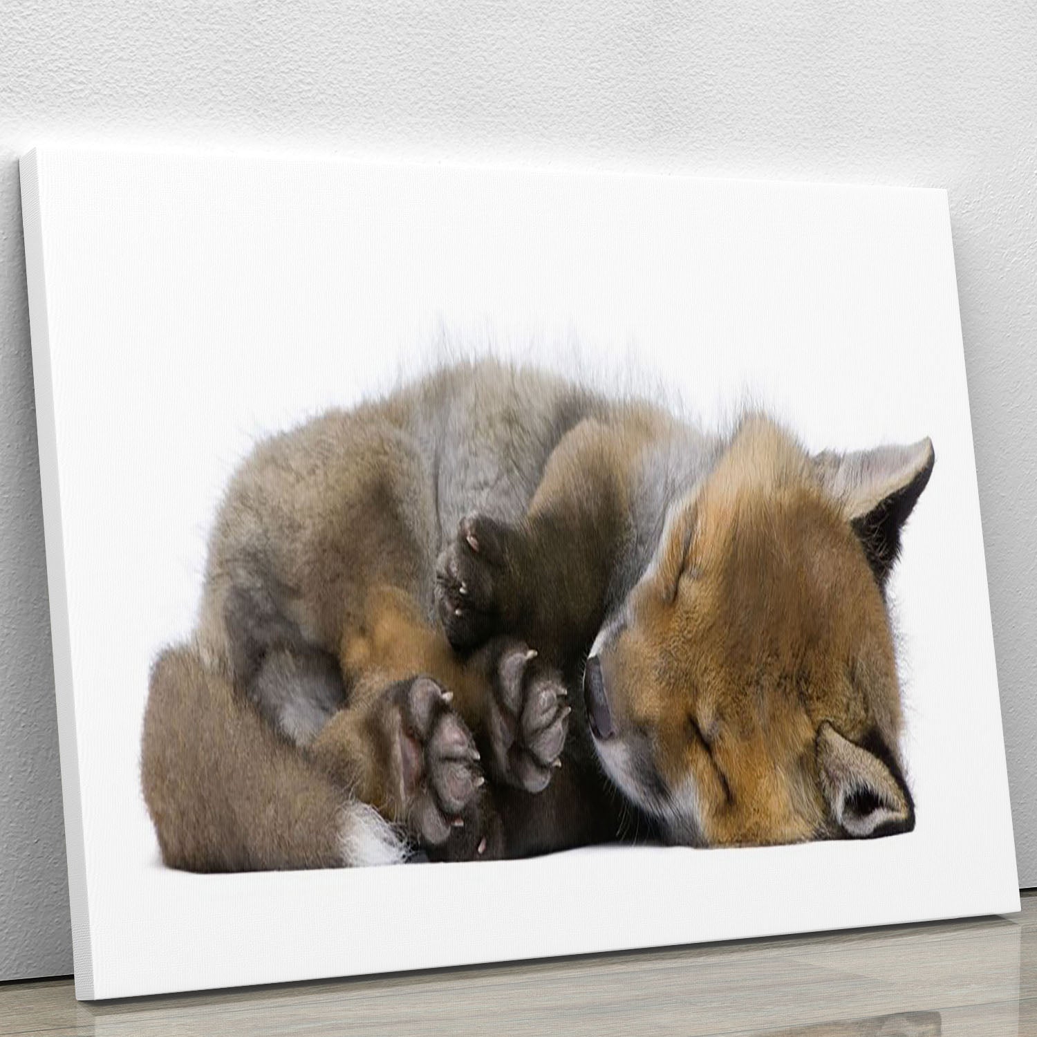 A beautiful canvas print of a 6-week-old red fox cub, showcasing its playful and adorable features, perfect for home decor.