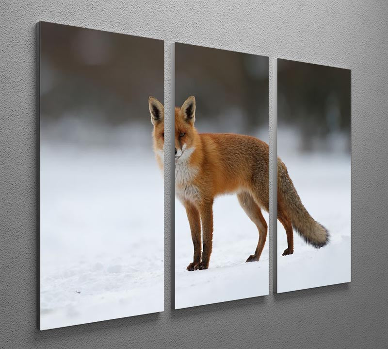 A beautiful 3-panel canvas print featuring a red fox in a snowy landscape, showcasing vibrant colors and intricate details.