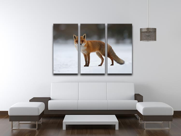 A beautiful 3-panel canvas print featuring a red fox in a snowy landscape, showcasing vibrant colors and intricate details.