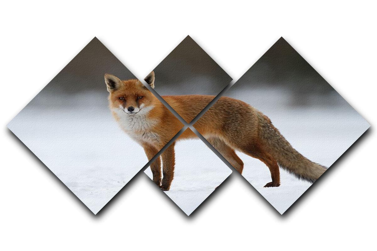 A beautiful multi-panel canvas artwork featuring a red fox in a snowy landscape, divided into four equal sections for a striking visual effect.