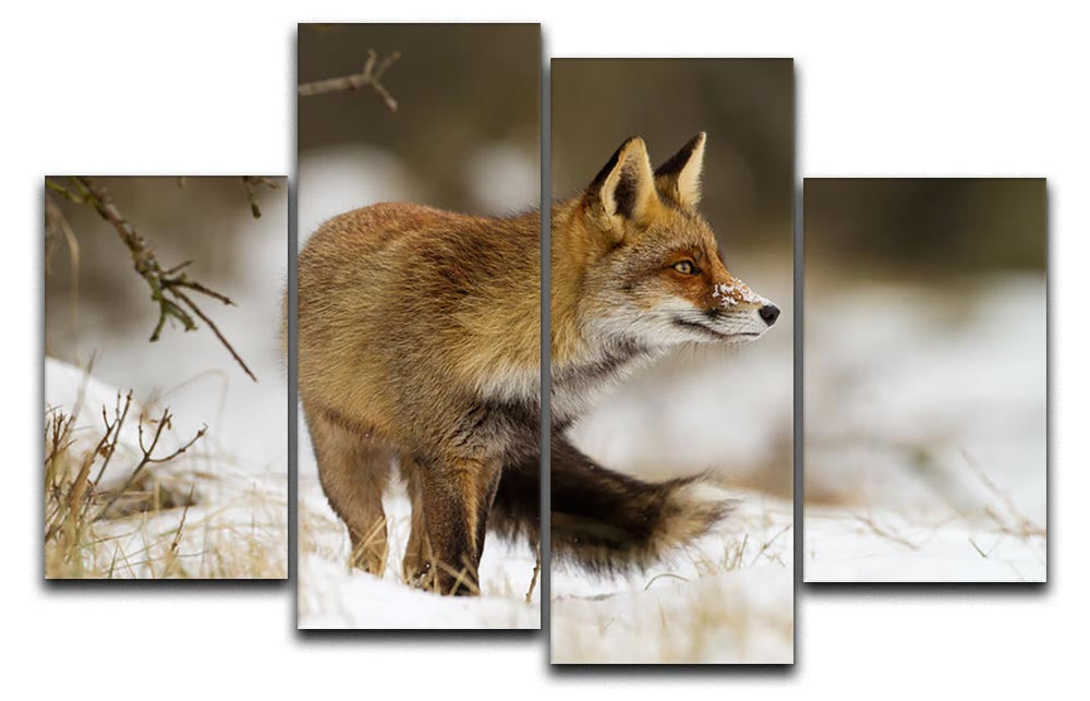 A beautiful 4-split canvas artwork featuring a red fox in a winter landscape, showcasing vibrant colors and intricate details.