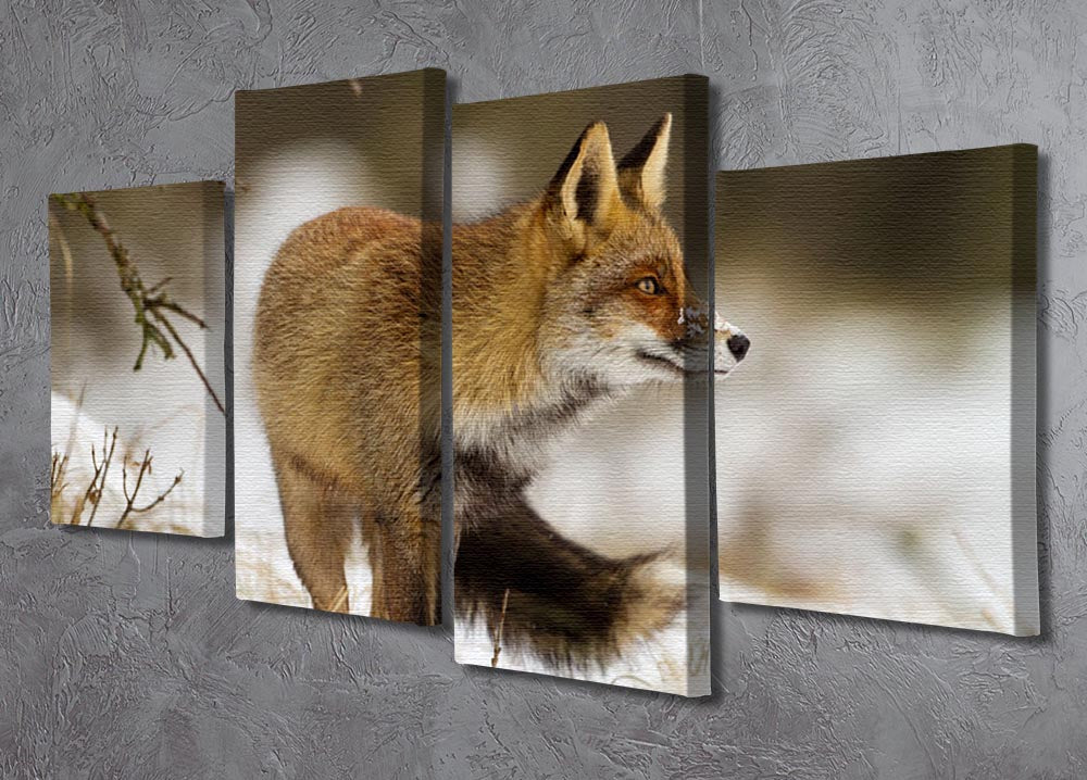 A beautiful 4-split canvas artwork featuring a red fox in a winter landscape, showcasing vibrant colors and intricate details.
