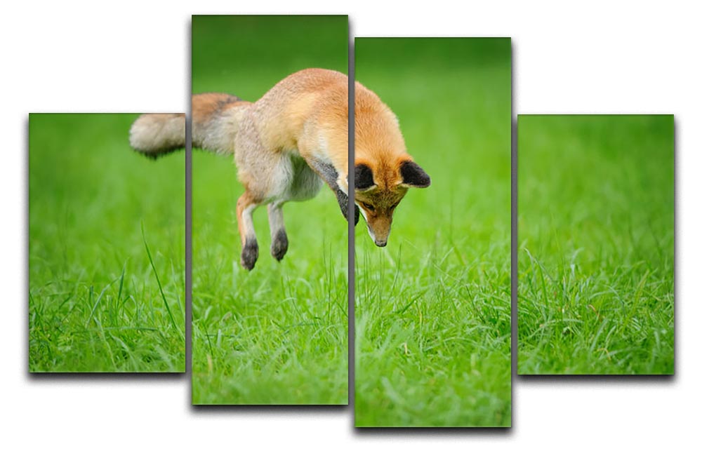 A stunning 4-split canvas artwork featuring a red fox in motion, showcasing vibrant colors and intricate details across four panels.