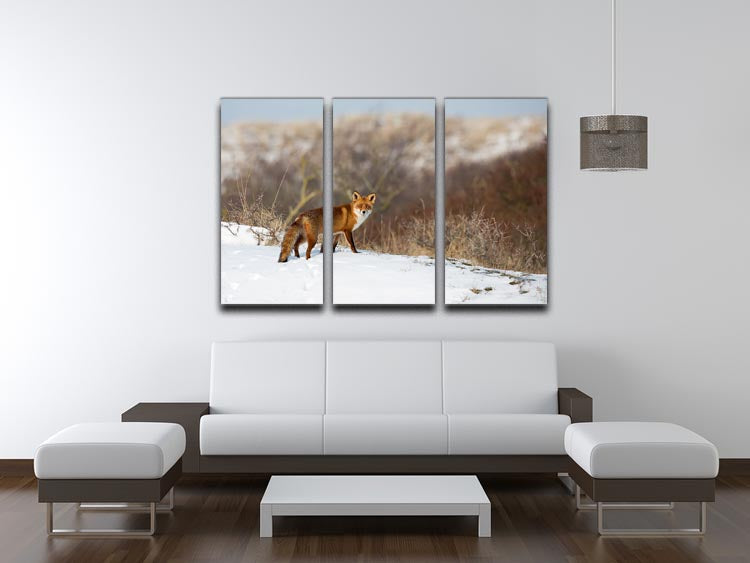 A beautiful red fox standing in a snowy winter landscape, depicted in a three-panel canvas print, showcasing vibrant colors and intricate details.