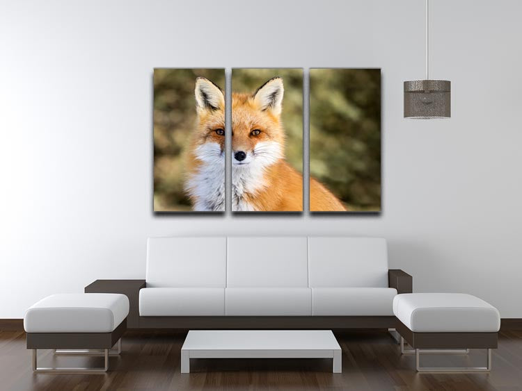 A beautiful 3-panel canvas artwork featuring a Red Fox sitting attentively, showcasing vibrant colors and intricate details.