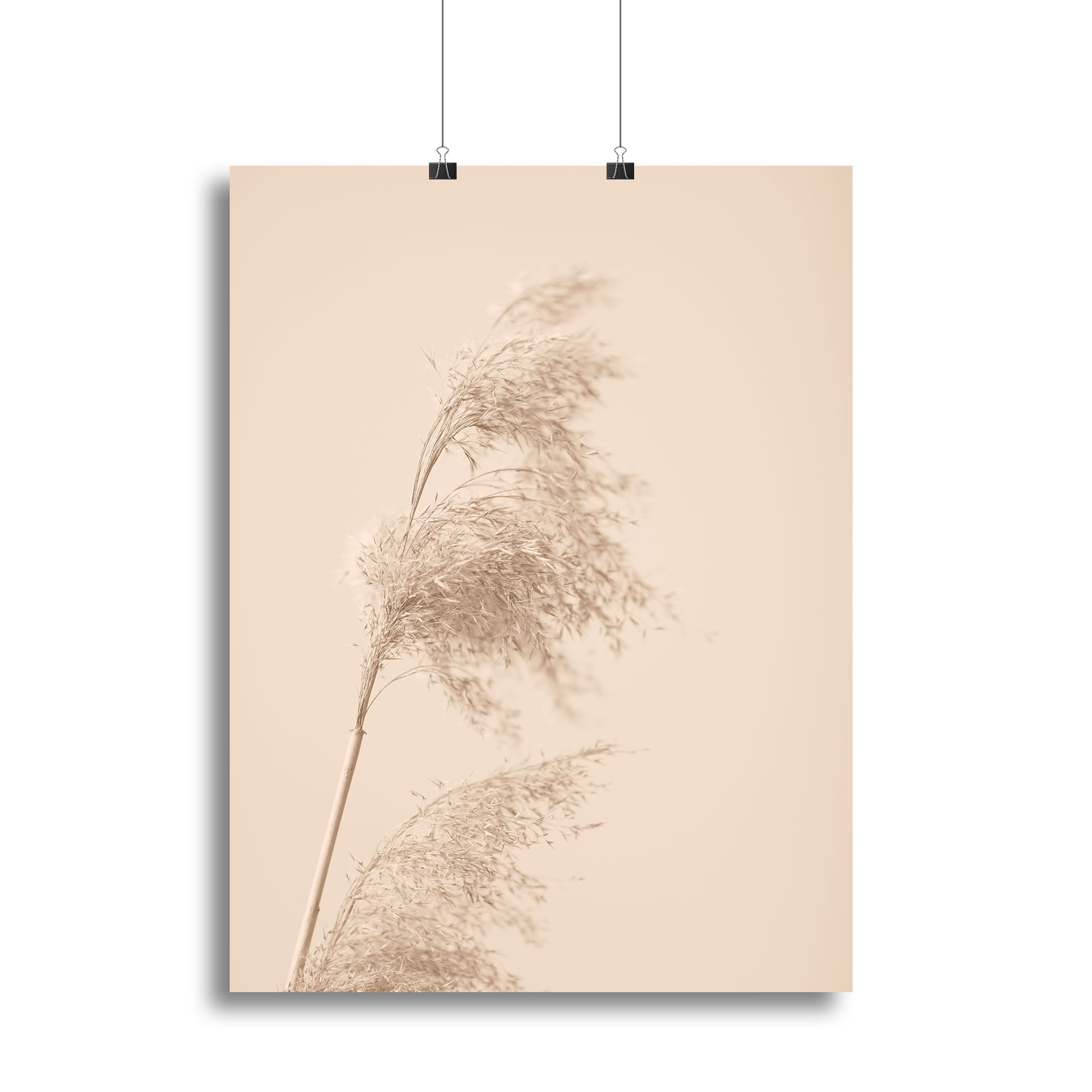 Reed Grass Beige 03 canvas print showcasing elegant natural design in soft beige tones, perfect for modern decor.