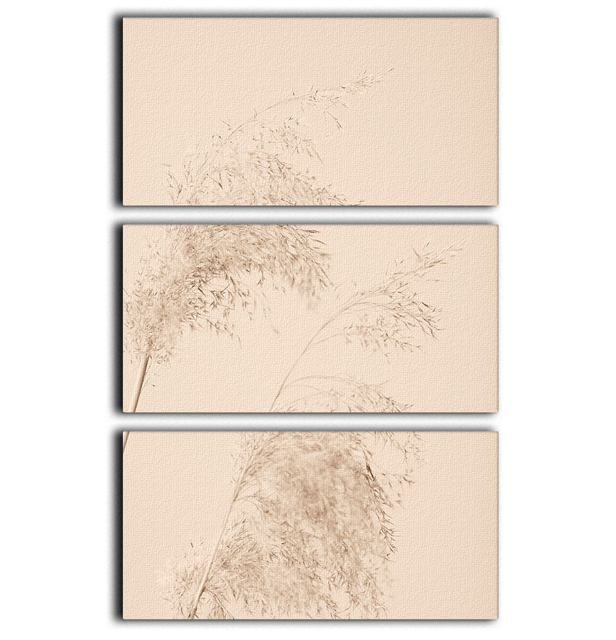 Reed Grass Beige 06 3 Split Panel Canvas Print showcasing a serene nature-inspired design in beige tones.