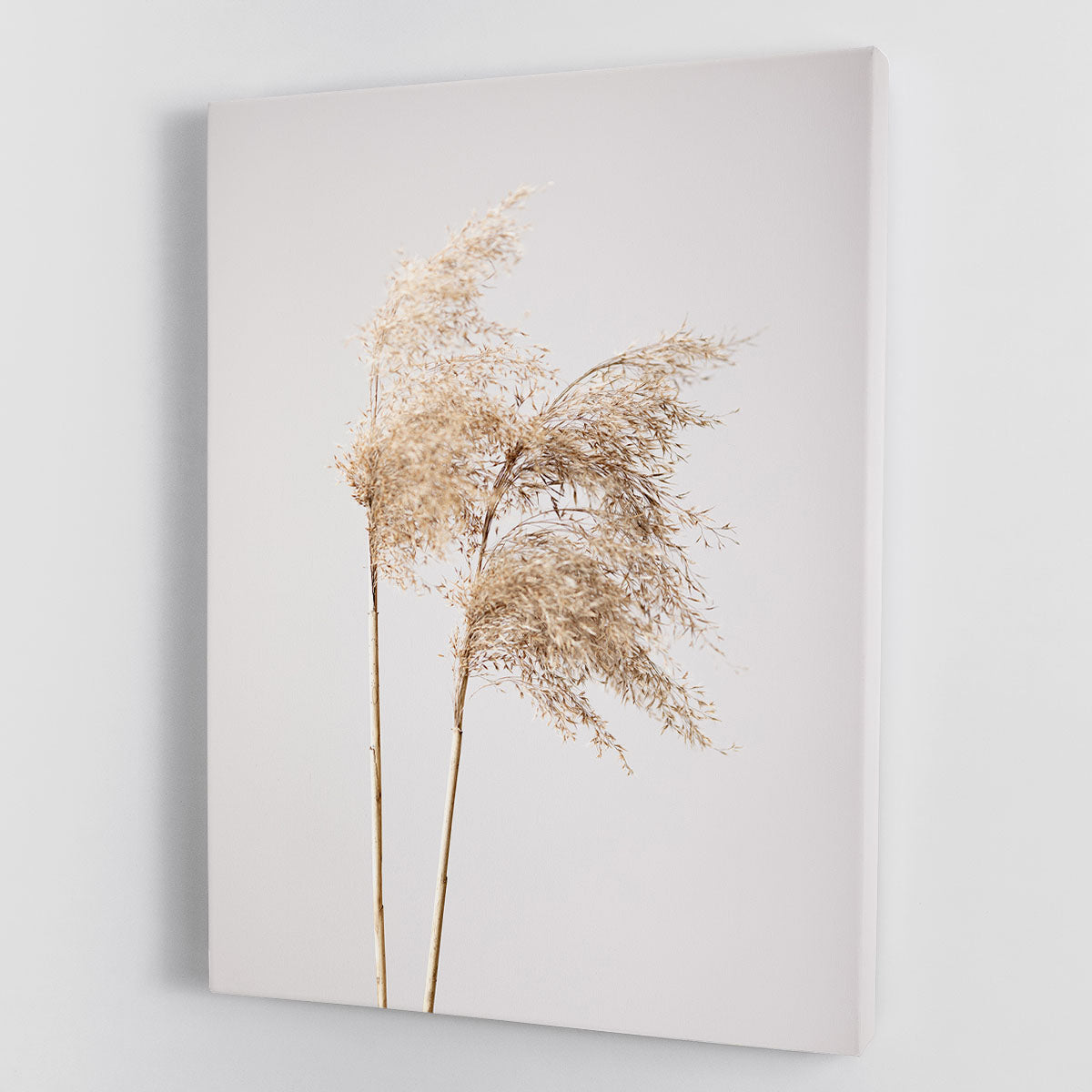 Reed Grass Grey 02 canvas print showcasing serene reed grass design in grey tones, perfect for modern decor.