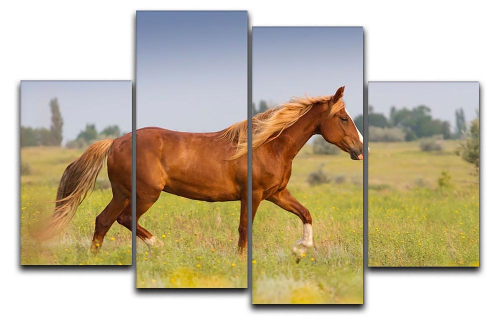 A vibrant red horse with a long mane displayed on a 4-split canvas artwork, showcasing dynamic and elegant design.