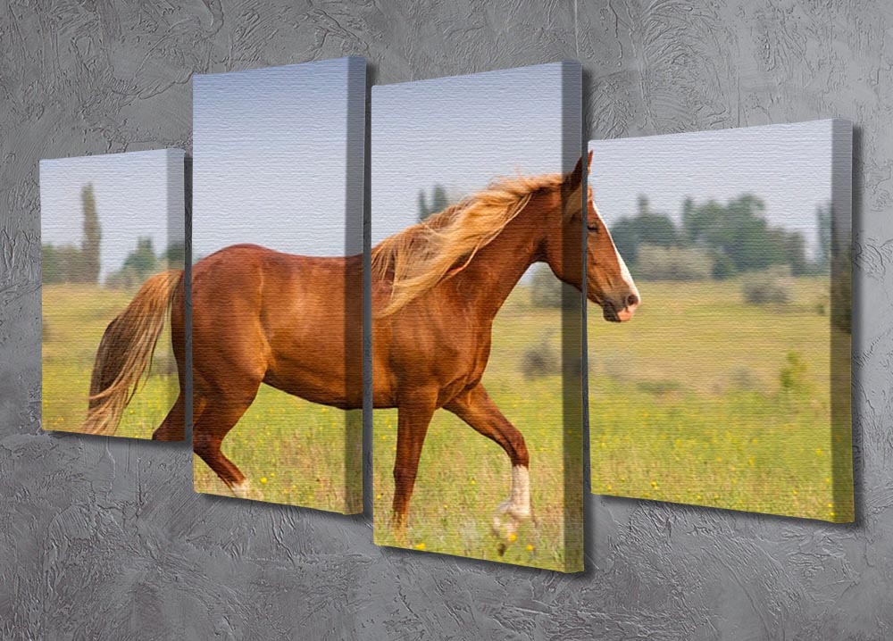 A vibrant red horse with a long mane displayed on a 4-split canvas artwork, showcasing dynamic and elegant design.
