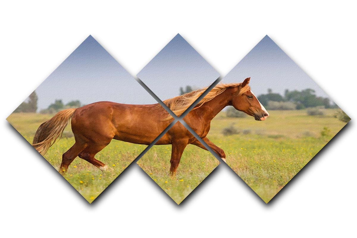 A vibrant red horse with a long mane displayed on a 4-square multi-panel canvas, creating a striking visual effect.