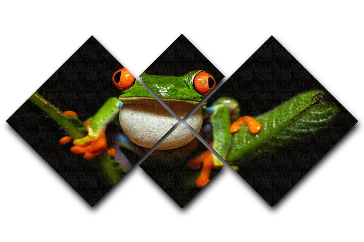 A vibrant multi-panel canvas artwork featuring a red-eyed tree frog, divided into four equal square sections, showcasing its colorful design.