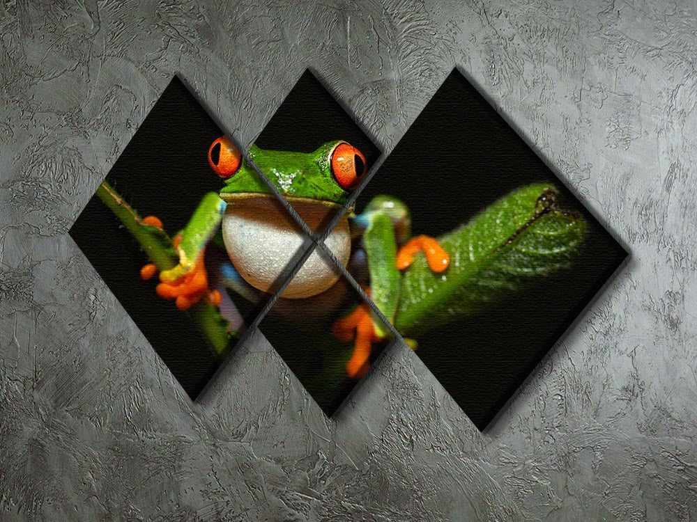 A vibrant multi-panel canvas artwork featuring a red-eyed tree frog, divided into four equal square sections, showcasing its colorful design.