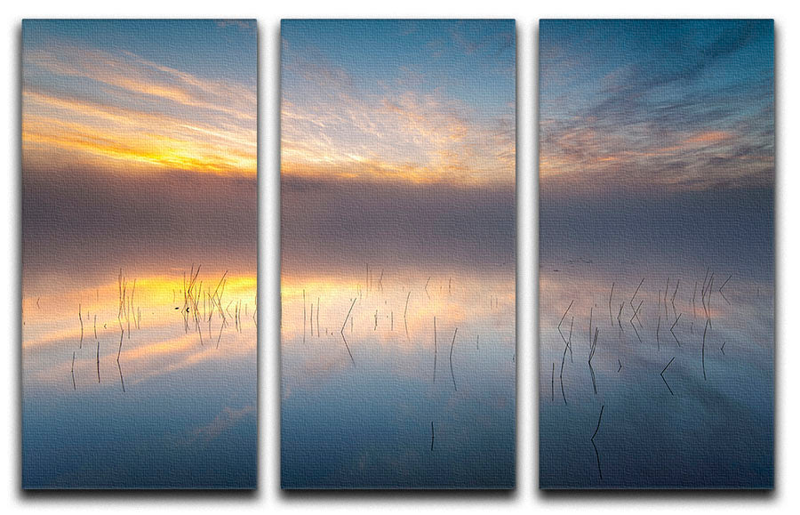 Reeds 3 Split Panel Canvas Print showcasing three elegant canvases with a cohesive design, perfect for enhancing any room's decor.