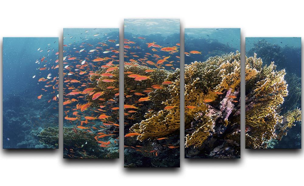 Reefscape 5 Split Panel Canvas artwork featuring vibrant oceanic colors and dynamic design across five panels.