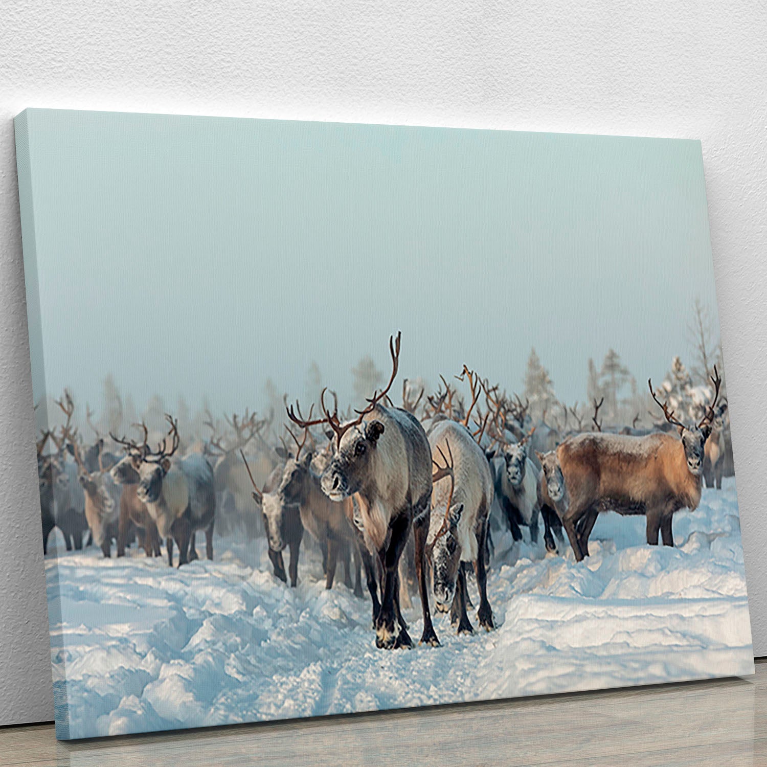 A beautiful canvas print featuring a majestic reindeer in a serene natural setting, perfect for home decor.