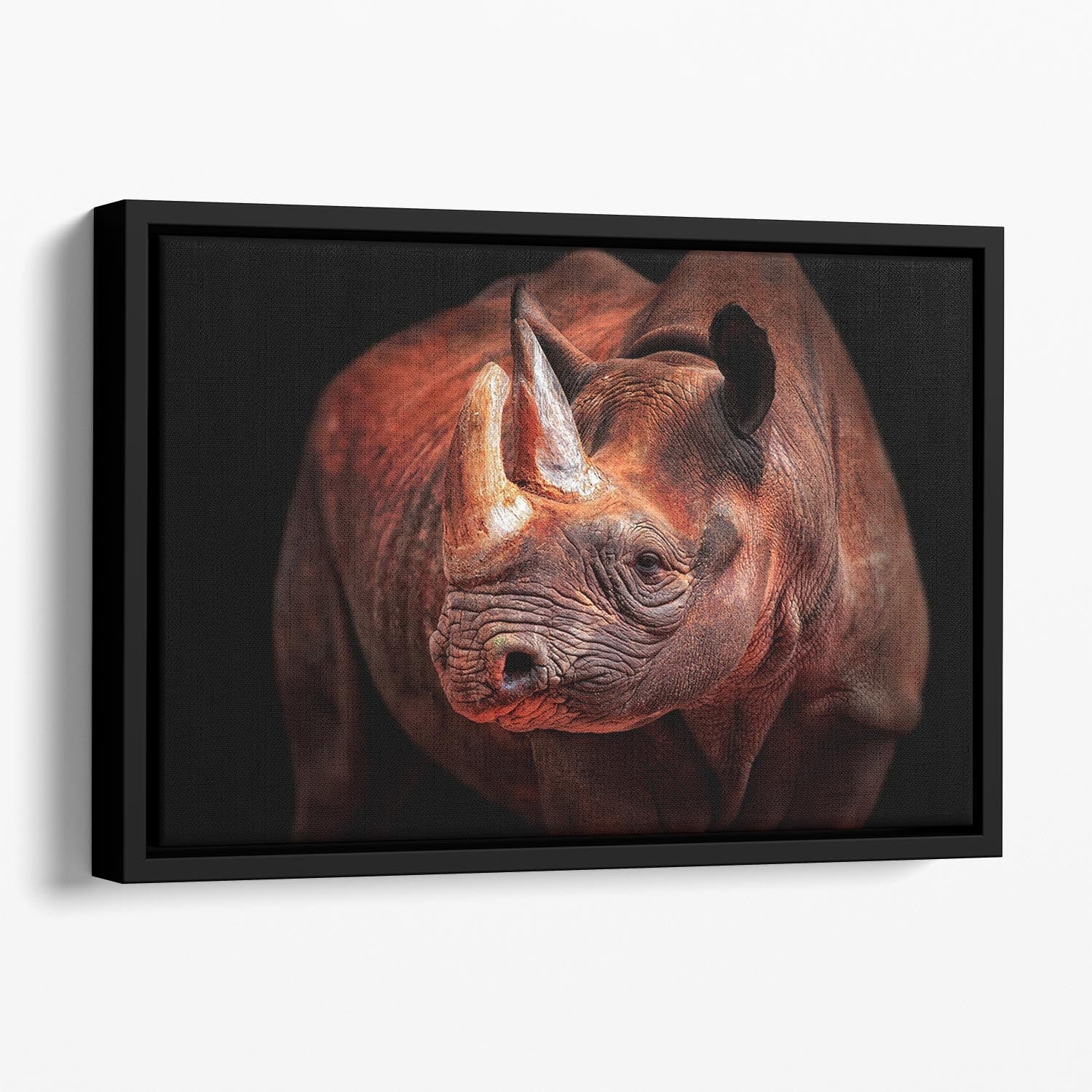 Rhino Posing Floating Framed Canvas featuring vibrant abstract art in an elegant wooden frame, perfect for modern home decor.