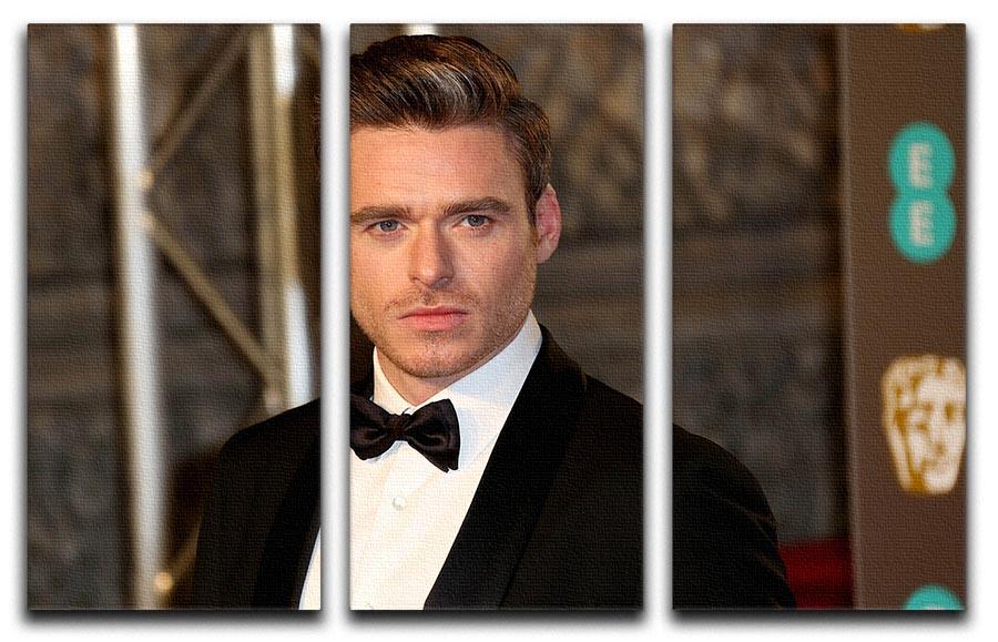Richard Madden Body Guard 3 Split Panel Canvas Print featuring three high-quality canvases with captivating design.