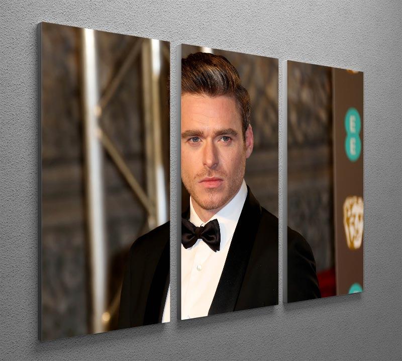 Richard Madden Body Guard 3 Split Panel Canvas Print featuring three high-quality canvases with captivating design.