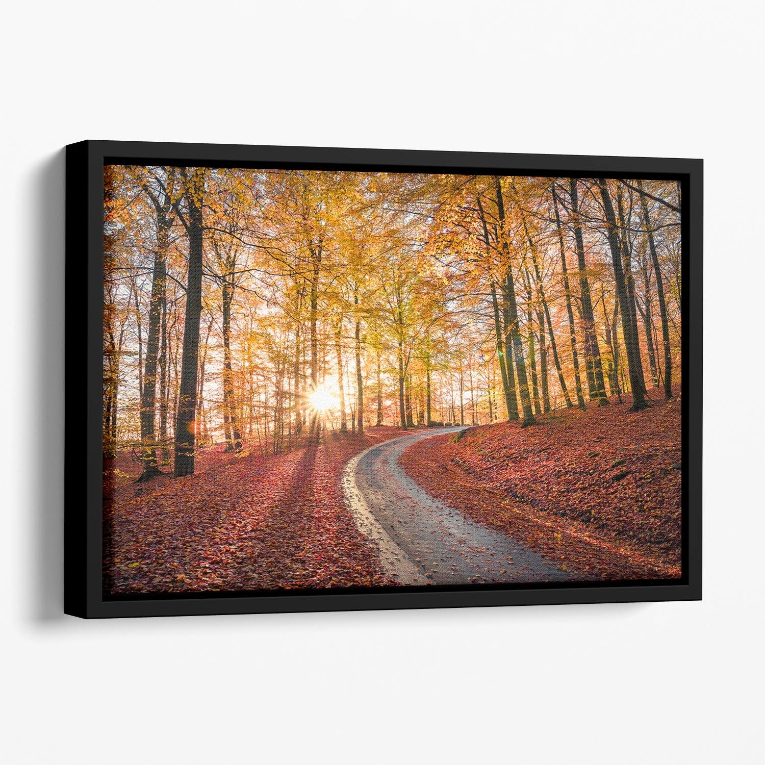 Road In Sapderaysen Nationalpark Sweden Floating Framed Canvas featuring vibrant abstract colors in a handcrafted wooden frame.