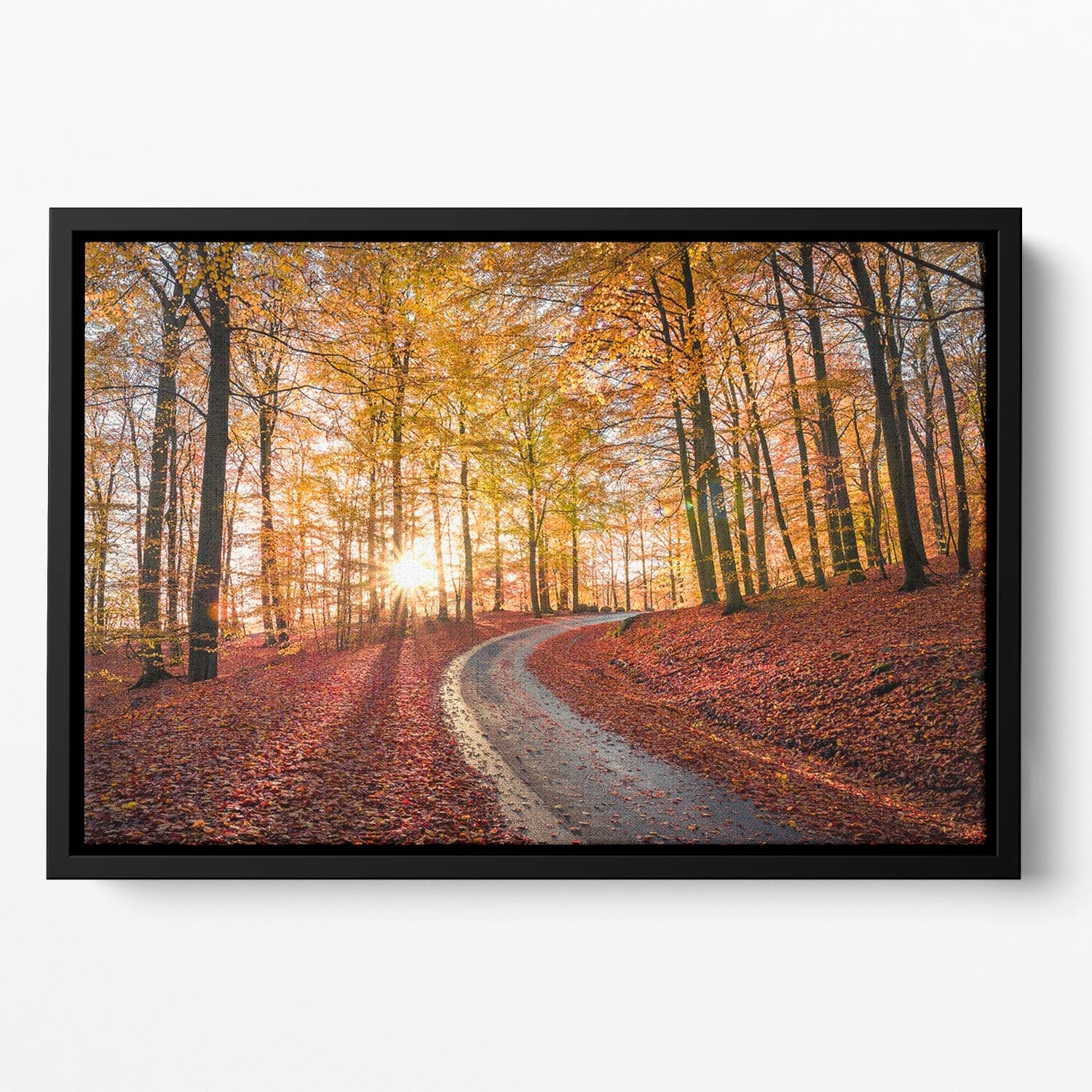 Road In Sapderaysen Nationalpark Sweden Floating Framed Canvas featuring vibrant abstract colors in a handcrafted wooden frame.