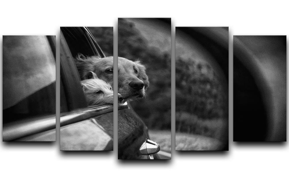 Roadtrip 5 Split Panel Canvas artwork featuring vibrant colors and dynamic design across five panels.