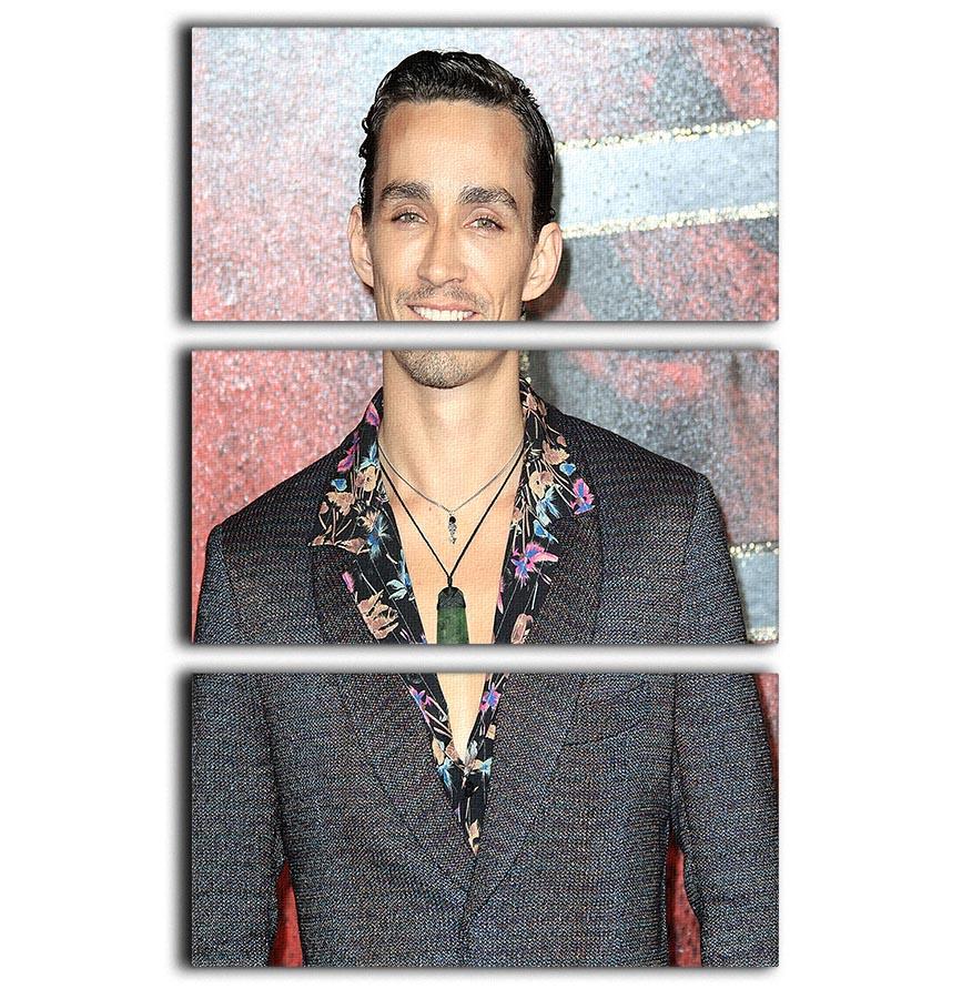 Robert Sheehan 3 Split Panel Canvas Print featuring vibrant colors and modern design, perfect for enhancing any room's decor.