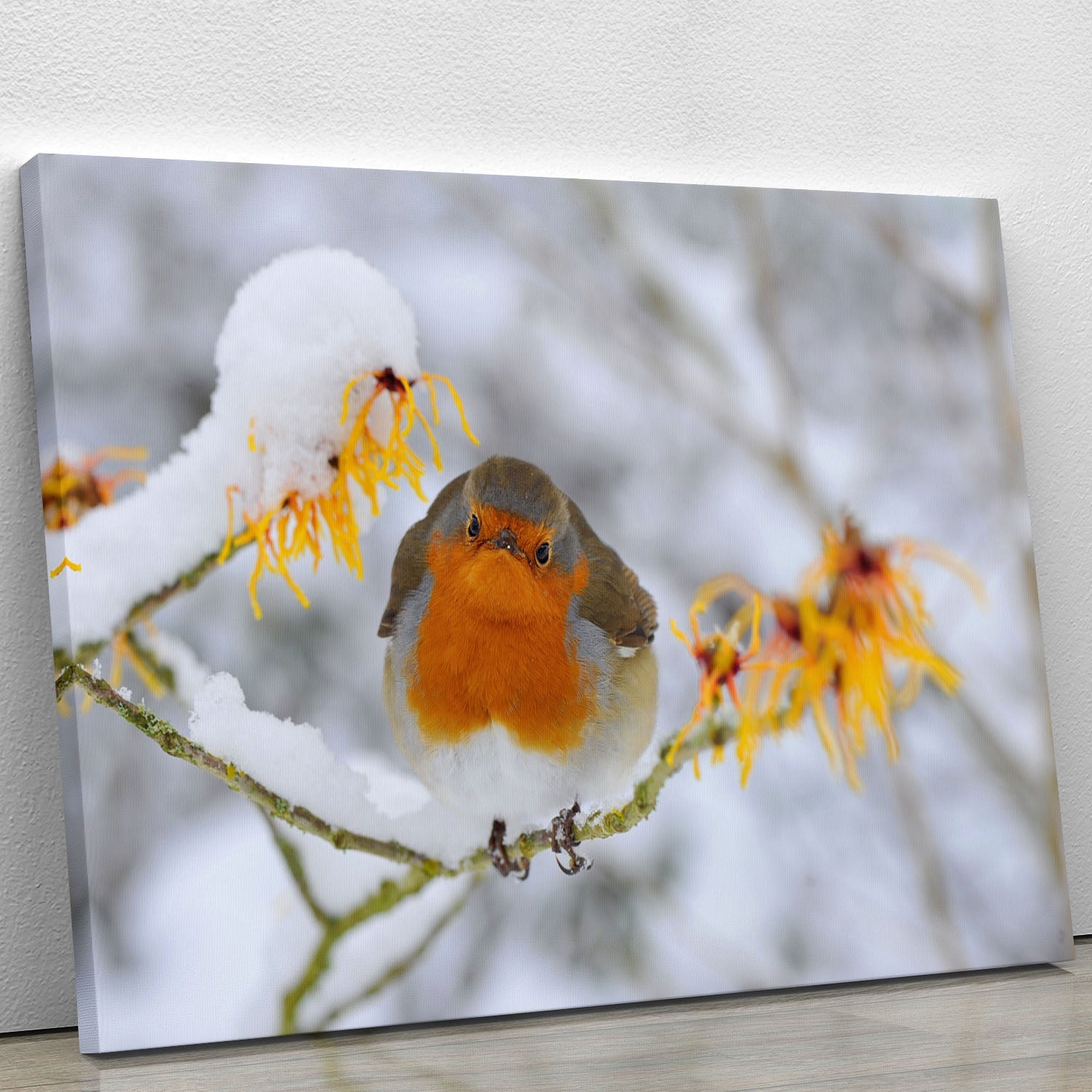 A vibrant canvas print of a robin perched on a snowy branch, showcasing the beauty of winter.