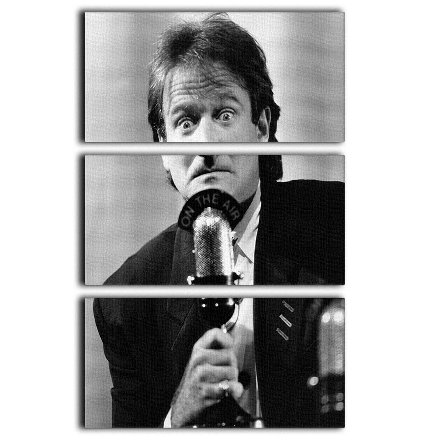 A stunning 3-panel canvas print featuring Robin Williams at the microphone, showcasing vibrant colors and high-quality artwork.