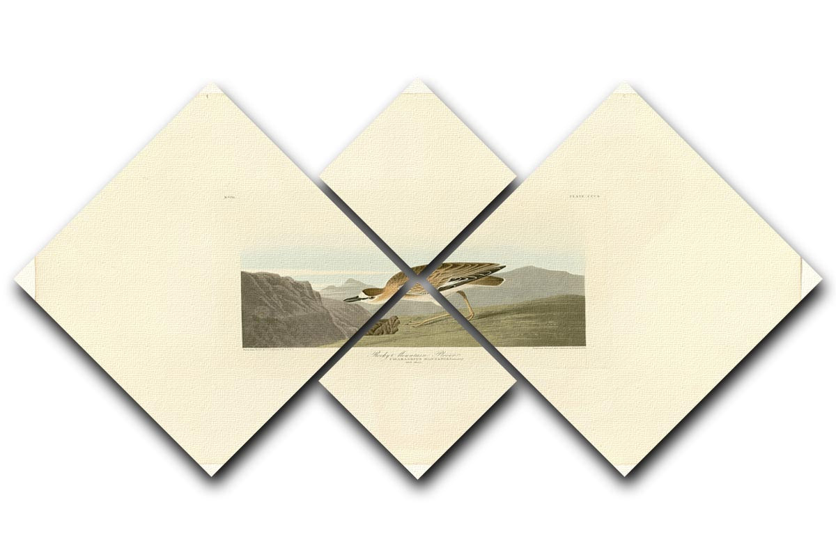 Rocky Mountain Plover artwork displayed on a 4-square multi panel canvas, showcasing vibrant colors and intricate details.