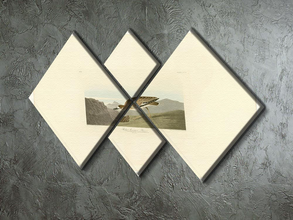 Rocky Mountain Plover artwork displayed on a 4-square multi panel canvas, showcasing vibrant colors and intricate details.