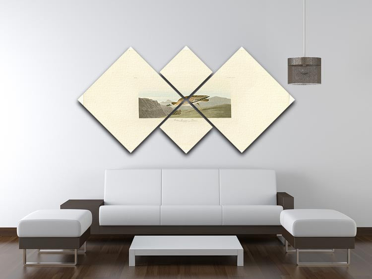 Rocky Mountain Plover artwork displayed on a 4-square multi panel canvas, showcasing vibrant colors and intricate details.