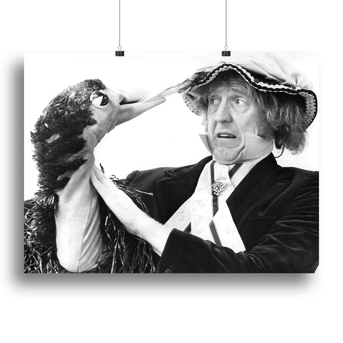 Rod Hull and Emu canvas print featuring vibrant colors and playful design, perfect for home decor.
