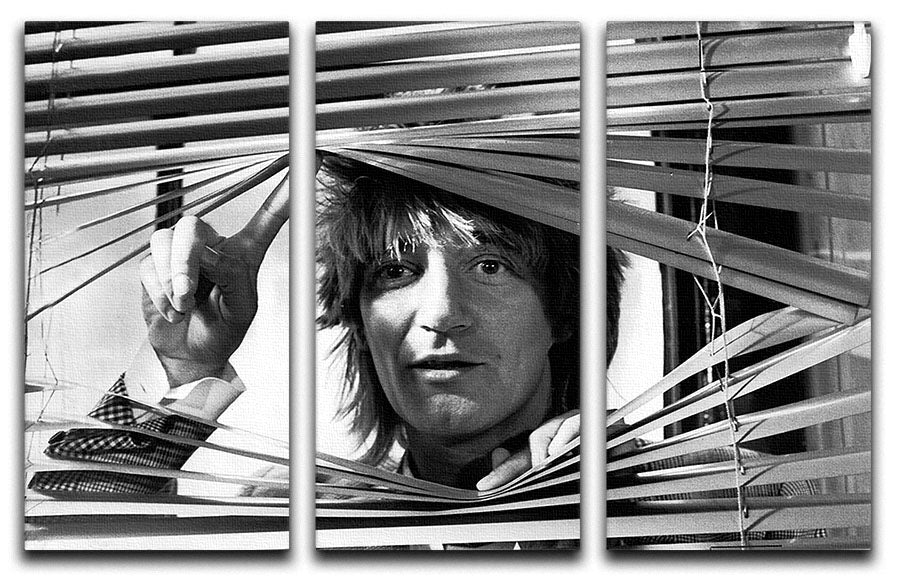 Rod Stewart in 1983 3-panel canvas print showcasing vibrant colors and detailed imagery.
