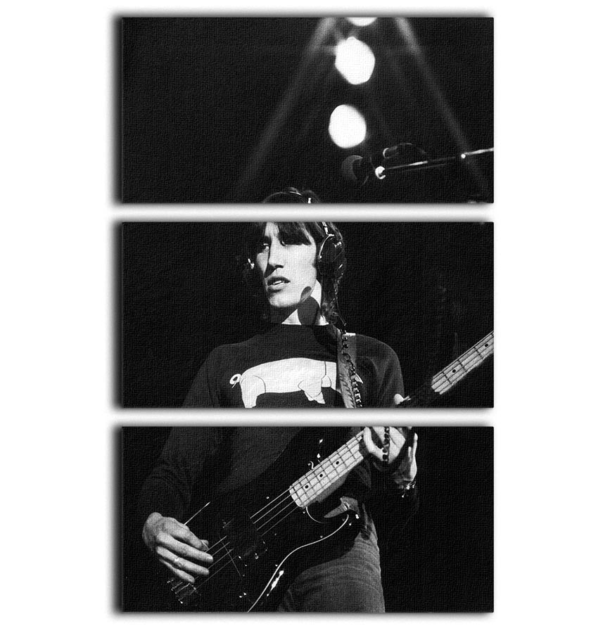 Roger Waters 3 Split Panel Canvas Print featuring vibrant colors and intricate designs, perfect for enhancing any room's decor.
