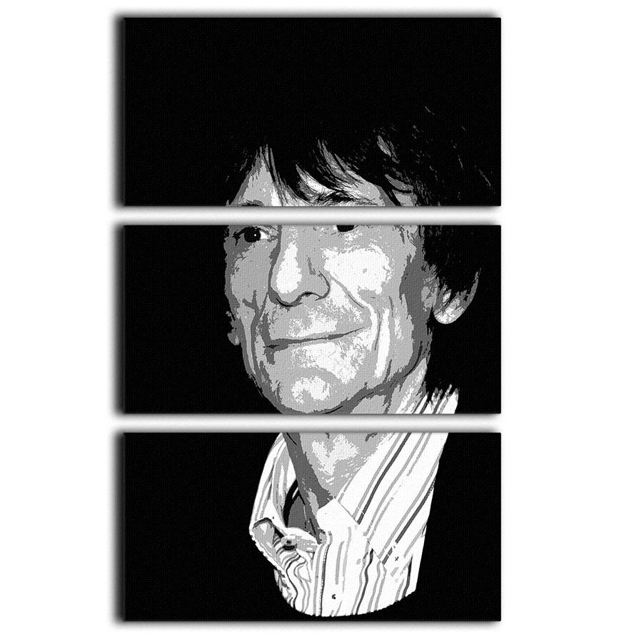 Ronnie Wood The Rolling Stones Pop Art 3 Split Panel Canvas Print featuring vibrant colors and intricate details across three panels.