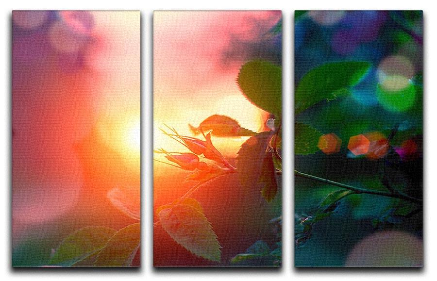 A beautiful 3-panel canvas print featuring rosebuds against a sunset backdrop, showcasing vibrant colors and elegant design.