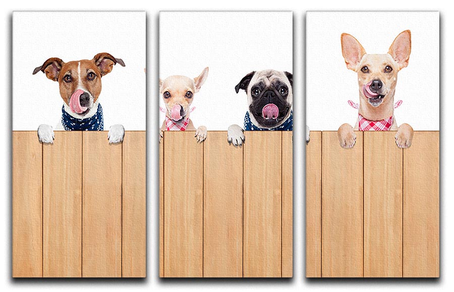 A beautiful 3-panel canvas print featuring a row of dogs, showcasing their playful and loyal nature, perfect for home decor.