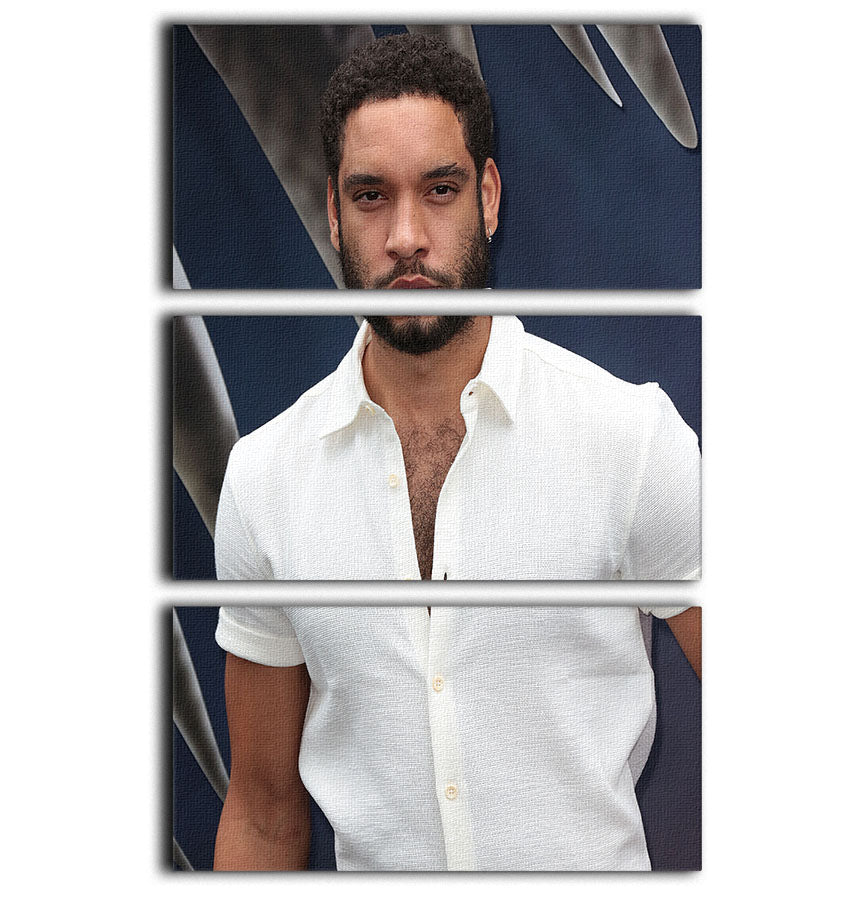 Royce Pierrson 3 Split Panel Canvas Print featuring vibrant colors and elegant designs, perfect for enhancing any room's decor.