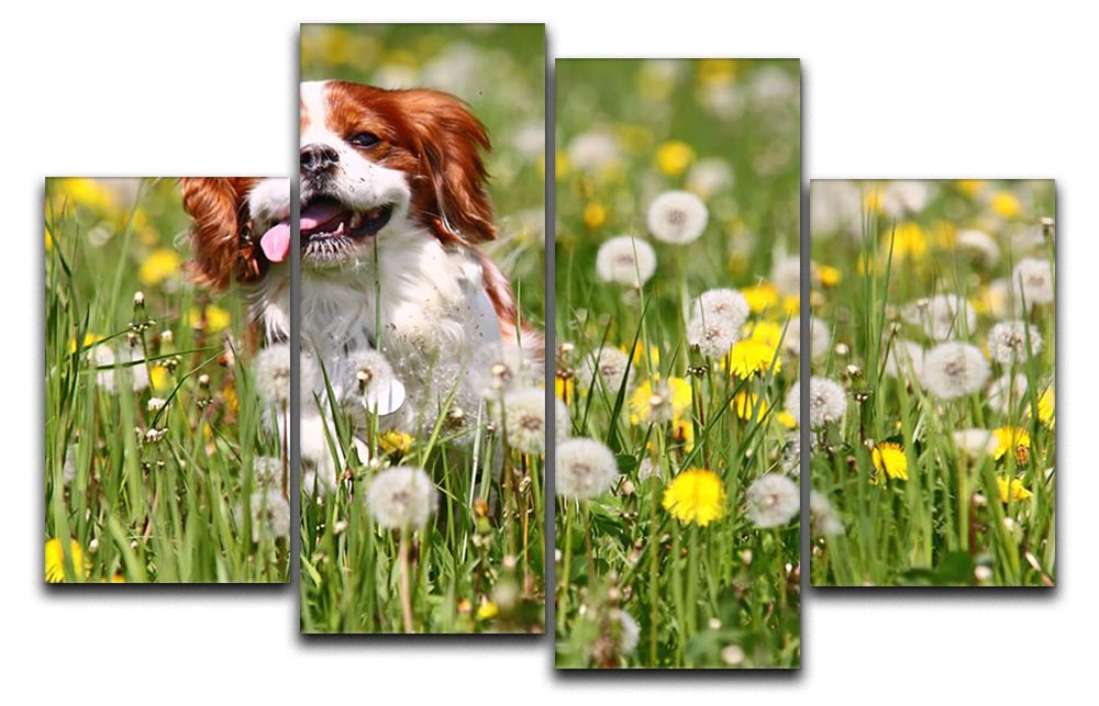 A vibrant 4-split canvas artwork featuring a running dog, showcasing dynamic movement and energy across four panels.