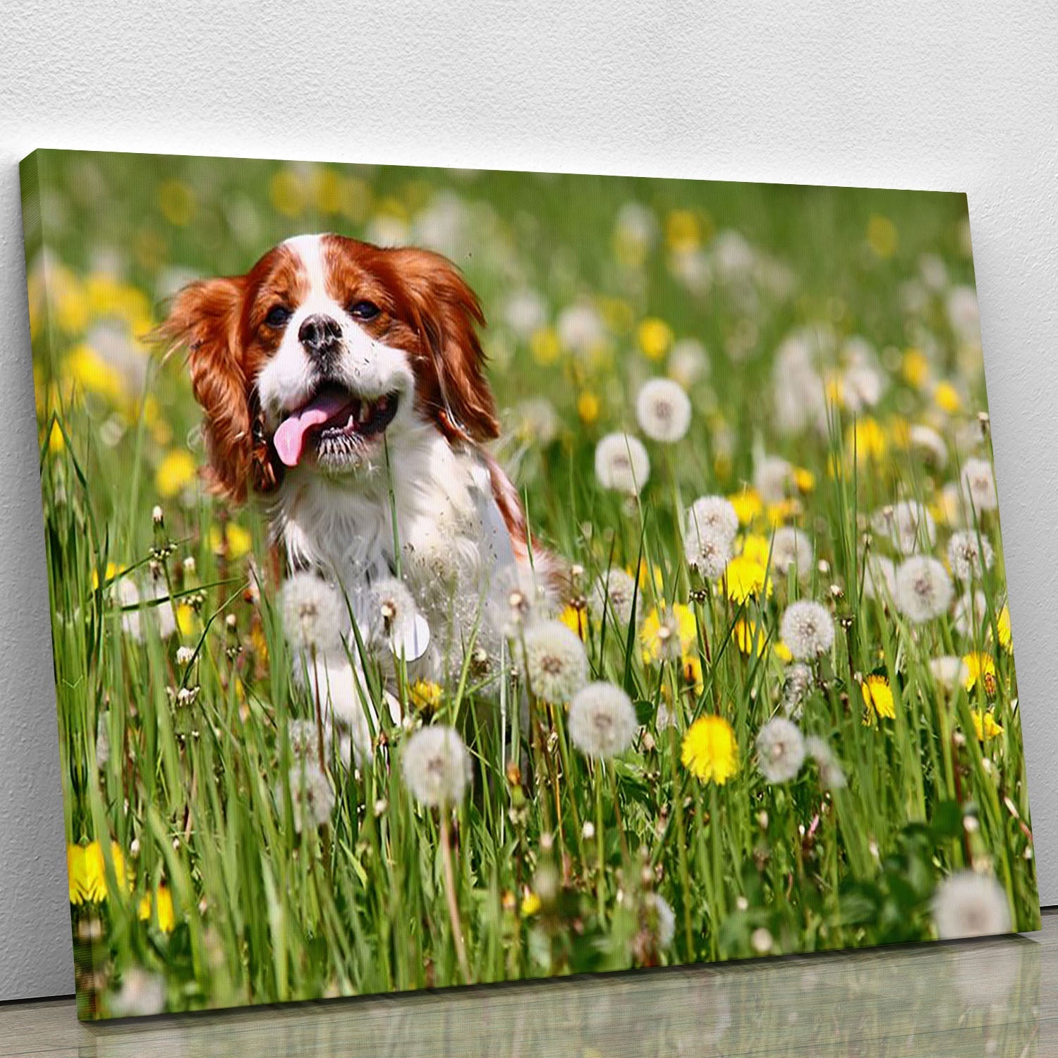 A vibrant canvas print of a running dog, showcasing dynamic movement and rich colors, perfect for home or office decor.